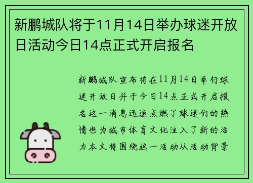 新鹏城队将于11月14日举办球迷开放日活动今日14点正式开启报名